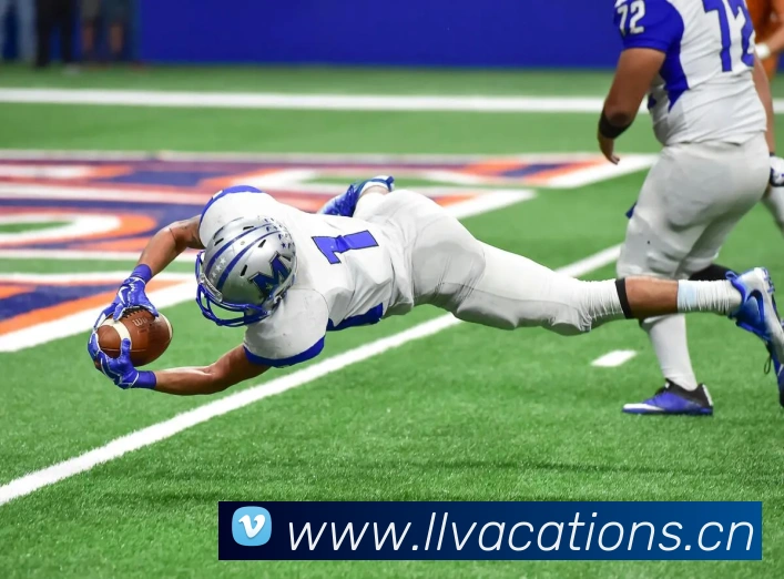 米兰网页版登录入口APP 封面图